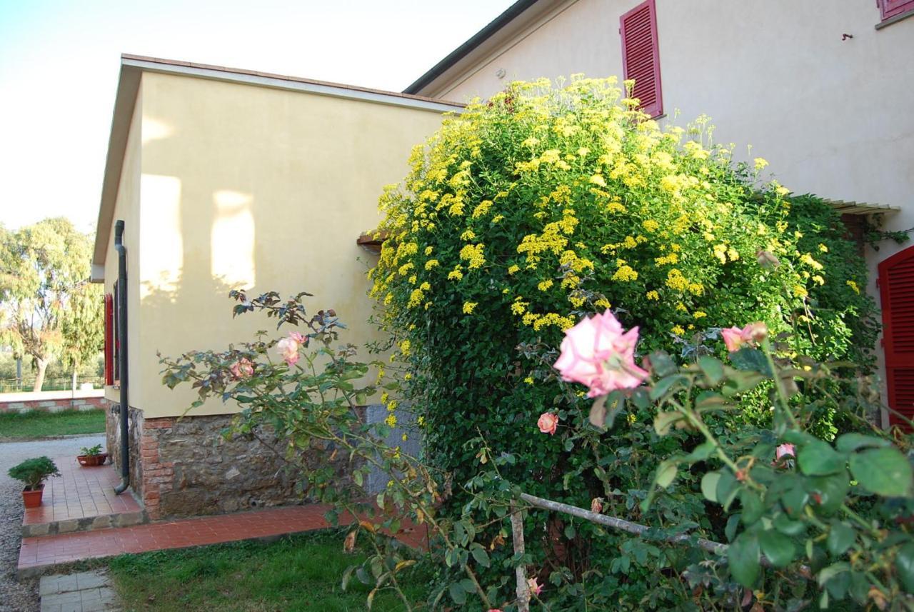 Casa Vacanze Guardamare San Vincenzo Kültér fotó